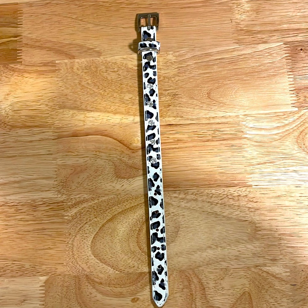 Small dog collar